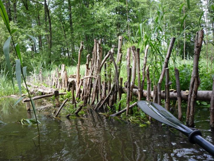 Бережниця з panoramio.com - Бережниця