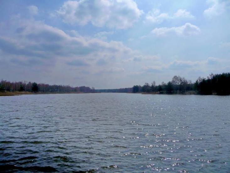 Ровжі з panoramio.com - Ровжи