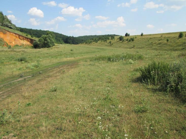 Ясенове з panoramio.com - Ясеновое