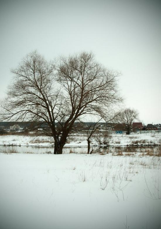 Введенка з panoramio.com - Введенка