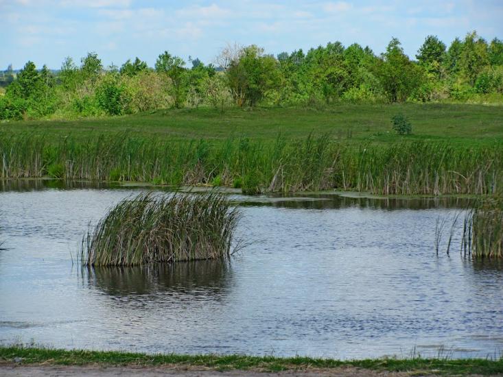 Четвертня з panoramio.com - Четвертня