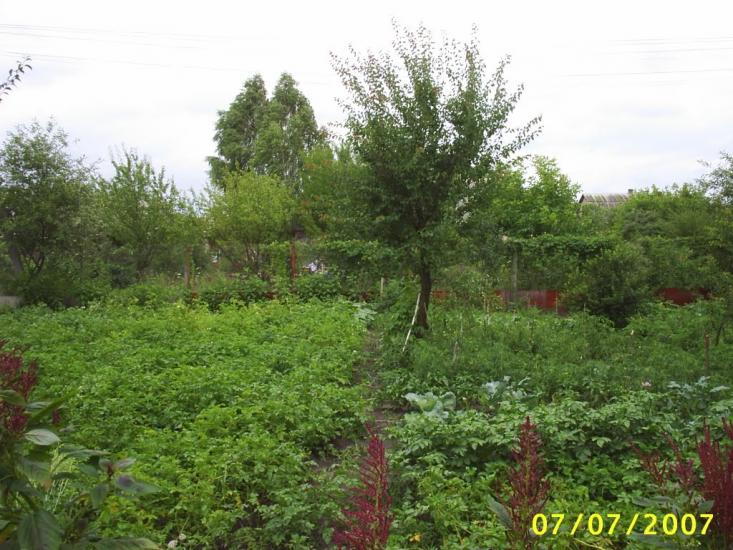 Ровжі з panoramio.com - Ровжи
