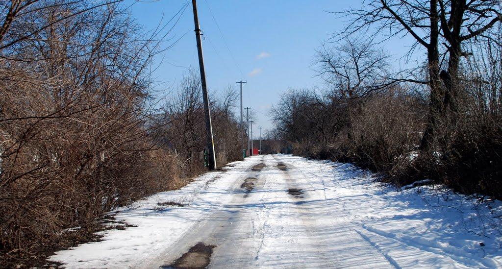 Пугачівка з panoramio.com - Пугачівка