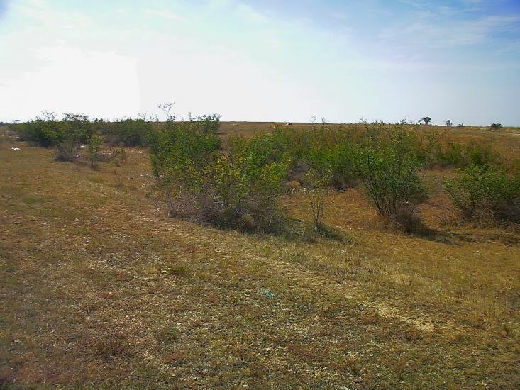 Кочергіне з panoramio.com - Кочергино