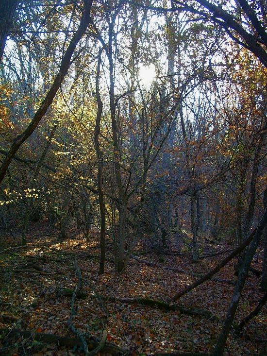 Високе з panoramio.com - Высокое