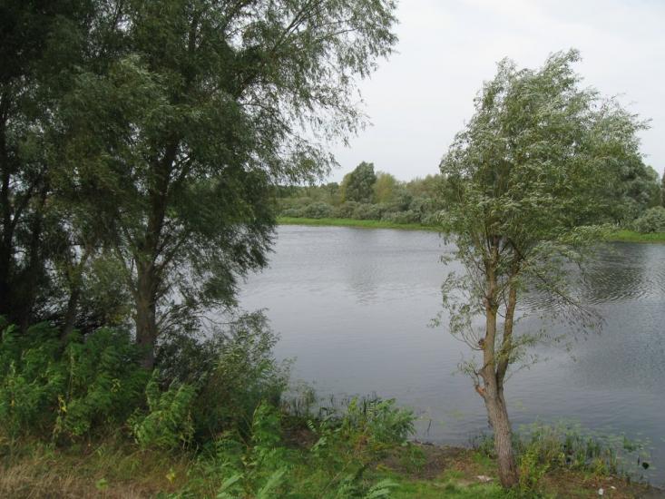 Жукин з panoramio.com - Zhukyn