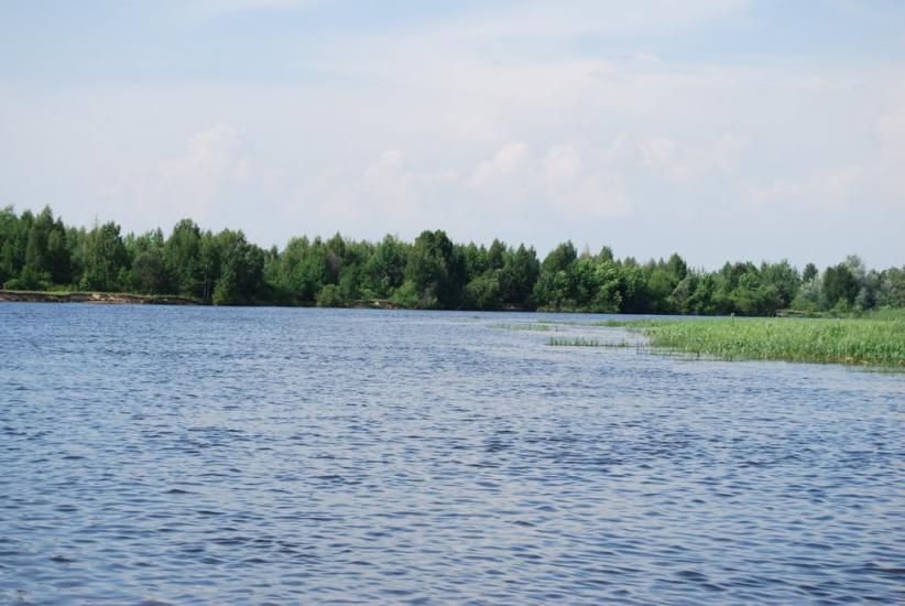 Прохорів з panoramio.com - Прохоров