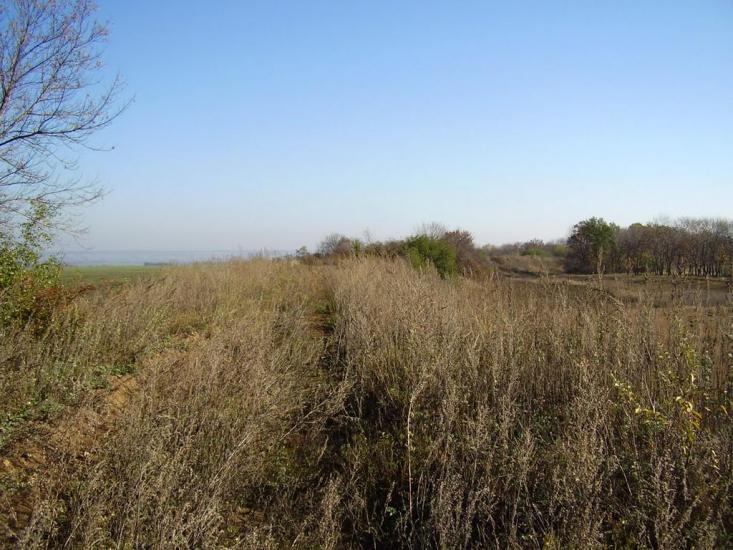 Кіровськ з panoramio.com - Кировск