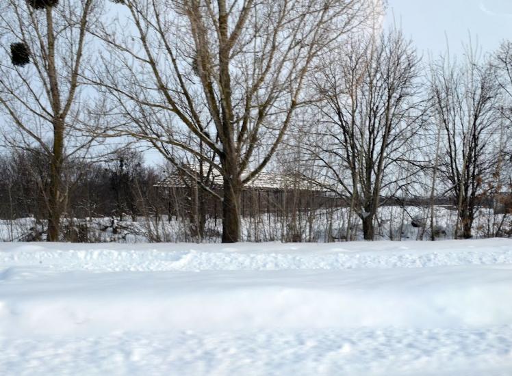 Старі Бабани з panoramio.com - Старые Бабаны