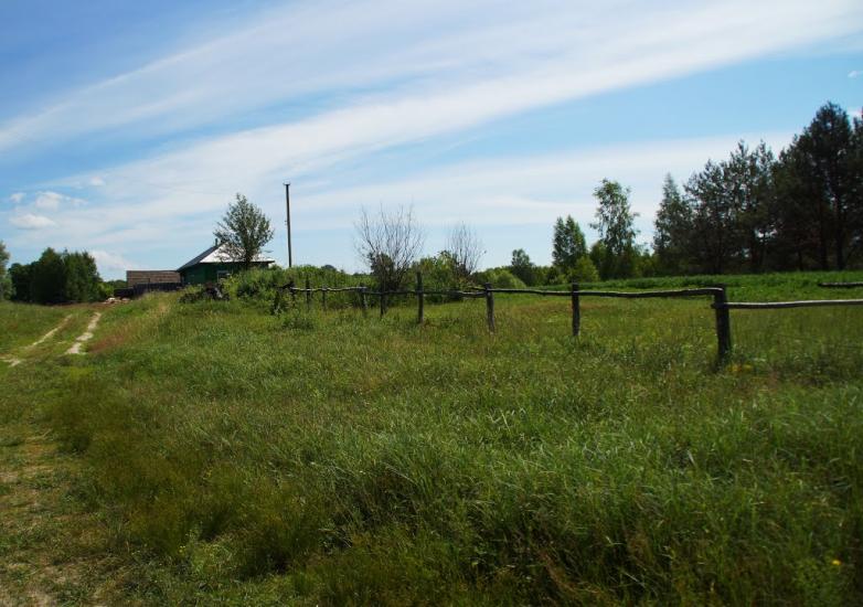 Рейментарівка з panoramio.com - Рейментаровка