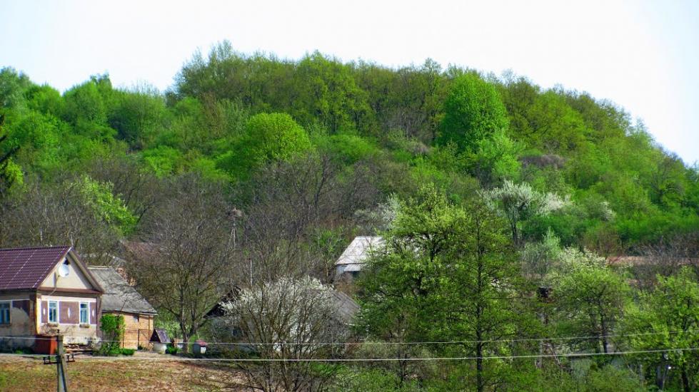 Городок з panoramio.com - Gorodok