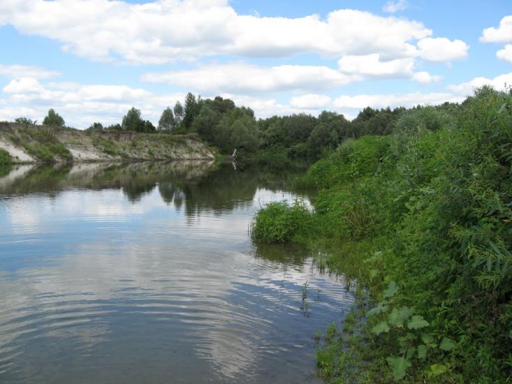 Осіч з panoramio.com - Осіч