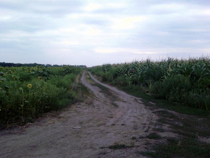 Мілова Балка з panoramio.com - Мілова Балка