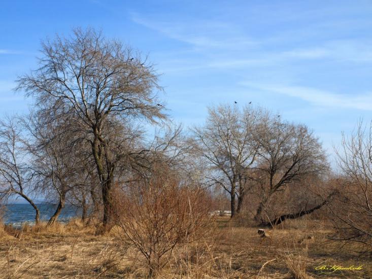 Сухолужжя з panoramio.com - Сухолужье