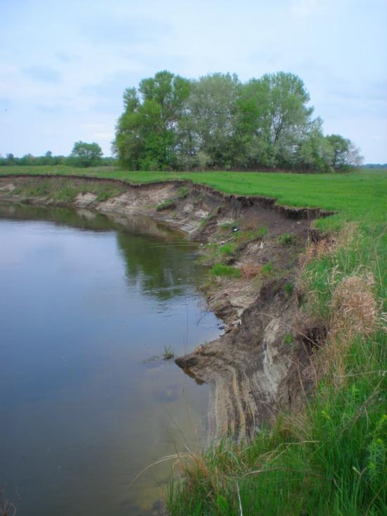Сухорабівка з panoramio.com - Сухорабівка
