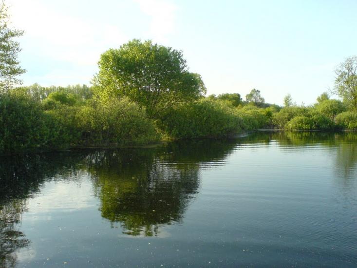 Кропивне з panoramio.com - Крапивное