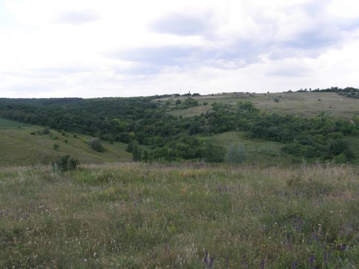 Мілуватка з panoramio.com - Меловатка