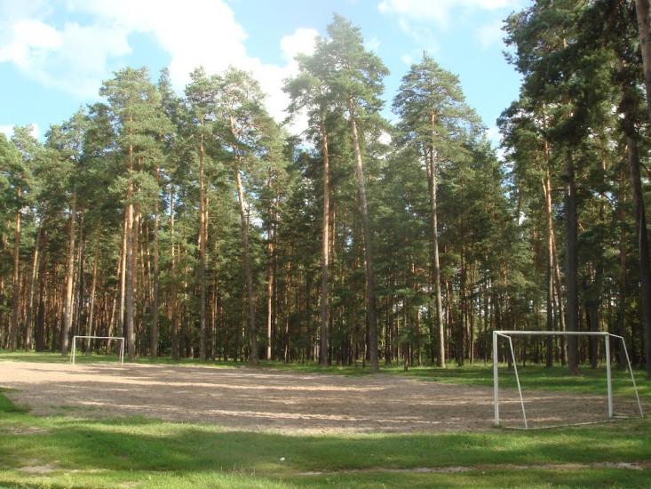 Кодра з panoramio.com - Kodra