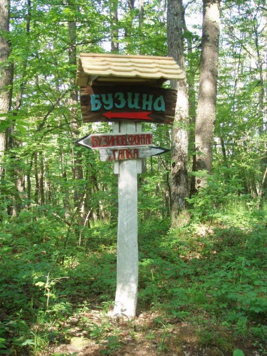 Краснолісся з panoramio.com - Краснолісся