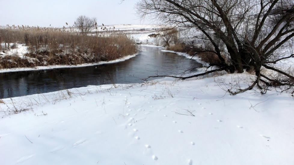 Новокатеринівка з panoramio.com - Новокатериновка