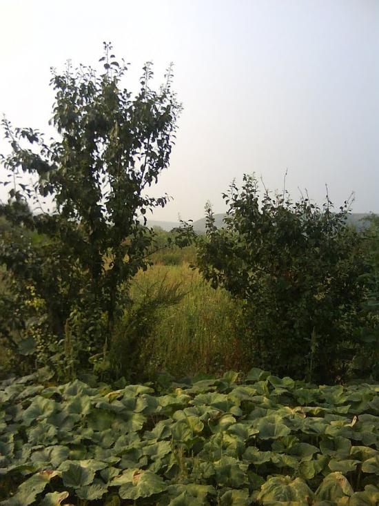 Новоайдар з panoramio.com - Новоайдар
