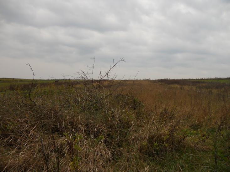 Григорів з panoramio.com - Григорів