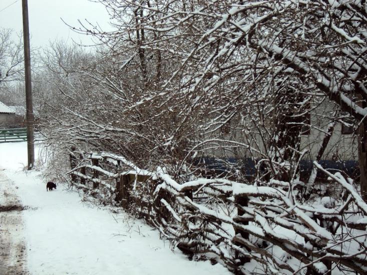 Демівка з panoramio.com - Демівка