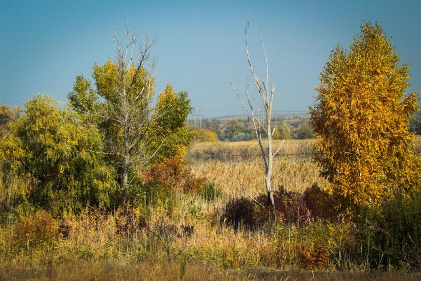 Марганець з panoramio.com - Marganets