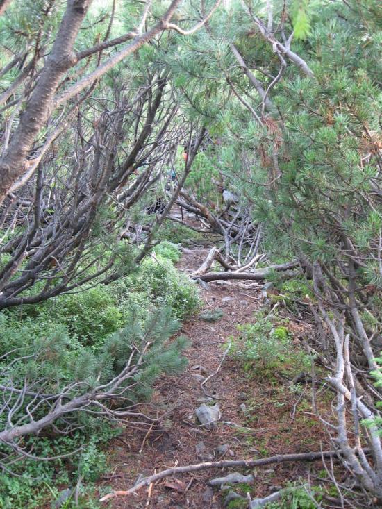 Згари з panoramio.com - Згари