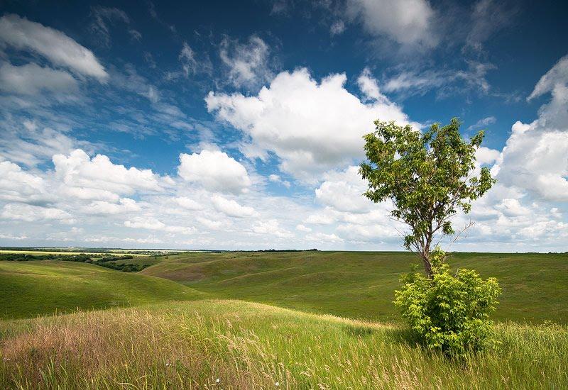 Миронівка з panoramio.com - Миронівка