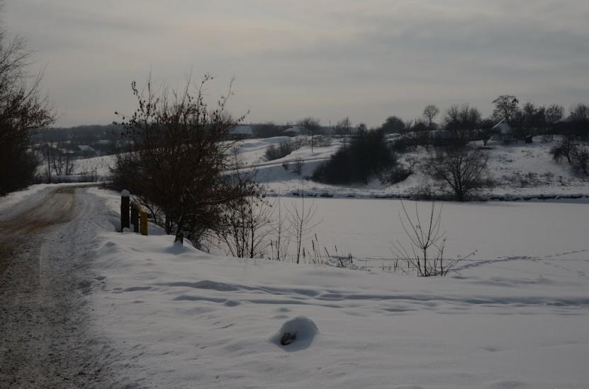 Пугачівка з panoramio.com - Пугачівка