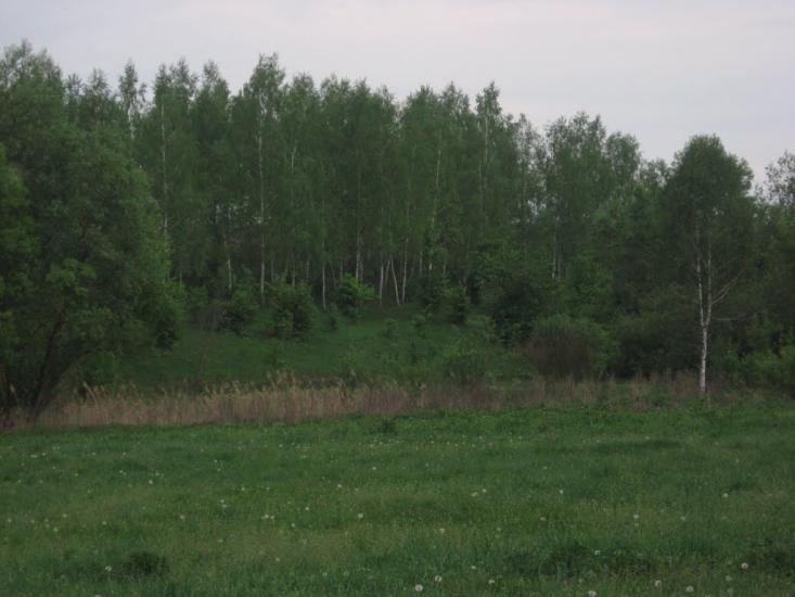 Тимченки з panoramio.com - Тимченки