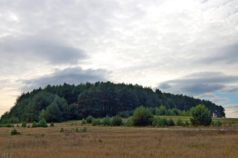 Велика Ведмежка з panoramio.com - Великая Ведмежка