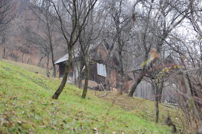 Вишній Дубовець з panoramio.com - Вишній Дубовець