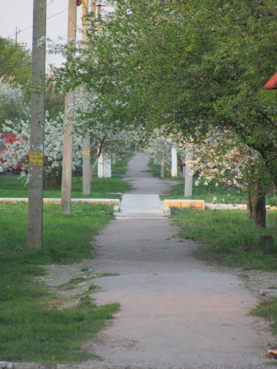 Подорожнє з panoramio.com - Подорожнє