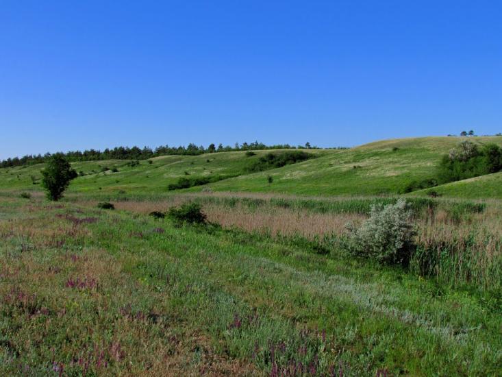 Володимирівка з panoramio.com - Володимирівка