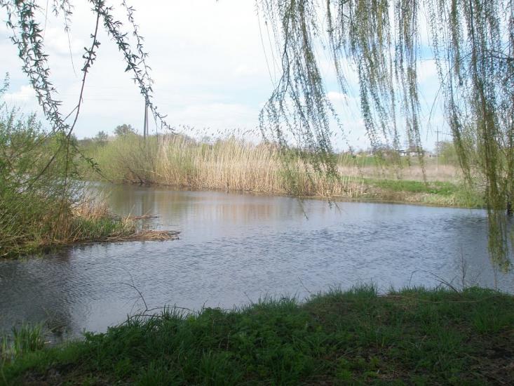 Біляки з panoramio.com - Беляки