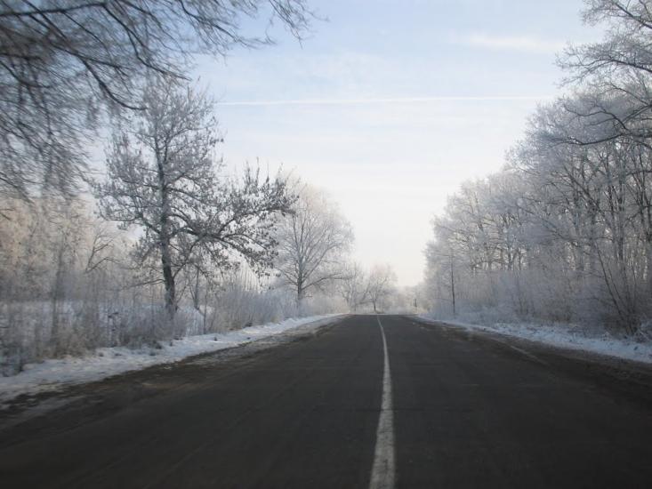 Брусниця з panoramio.com - Брусниця