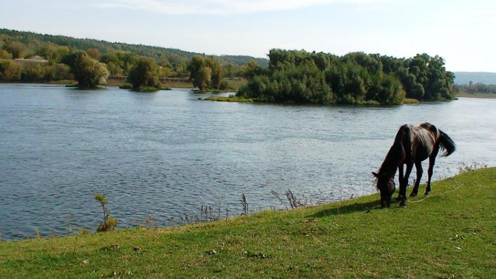 Оксанівка з panoramio.com - Оксанівка