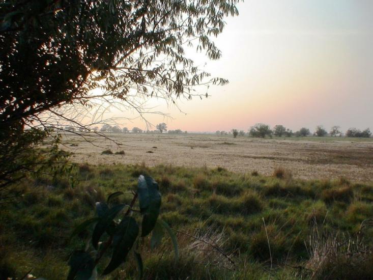 Роздольне з panoramio.com - Раздольное