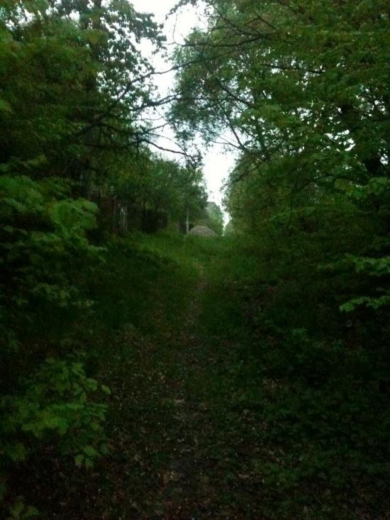 Бондарів з panoramio.com - Бондарев