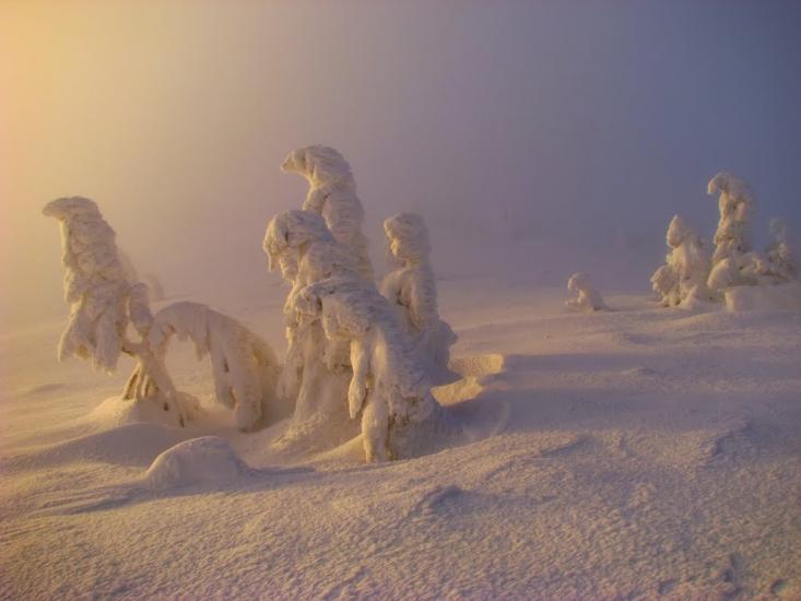 Лопухів з panoramio.com - Лопухов