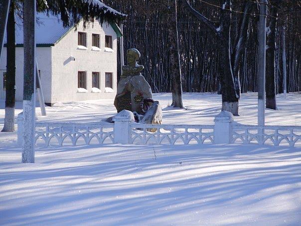 Шаповалівка з panoramio.com - Шаповалівка