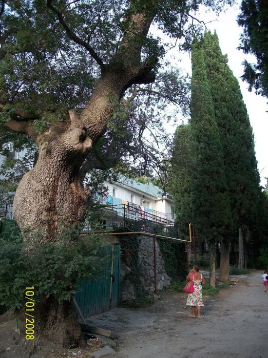 Утьос з panoramio.com - Утьос