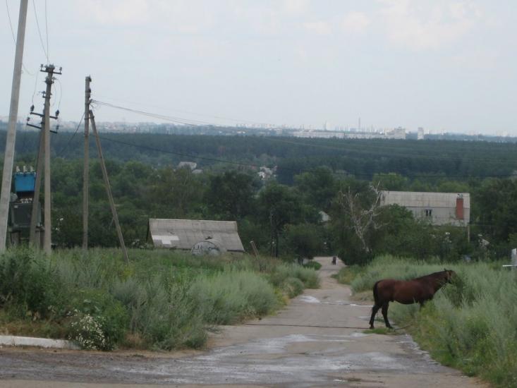 Бабаї з panoramio.com - Бабаи