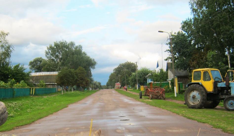 Деревини з panoramio.com - Деревини