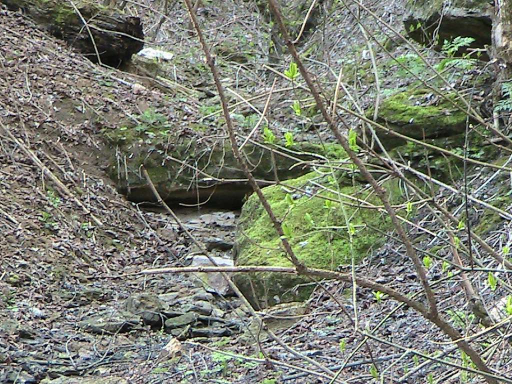 Різне - Болган