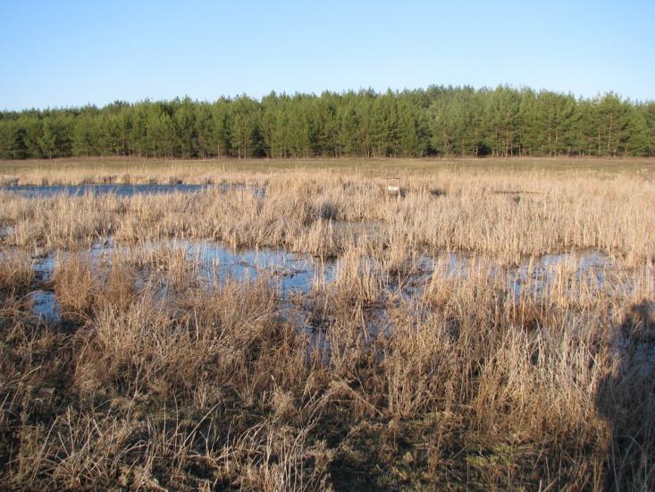 Кочережки з panoramio.com - Кочережки