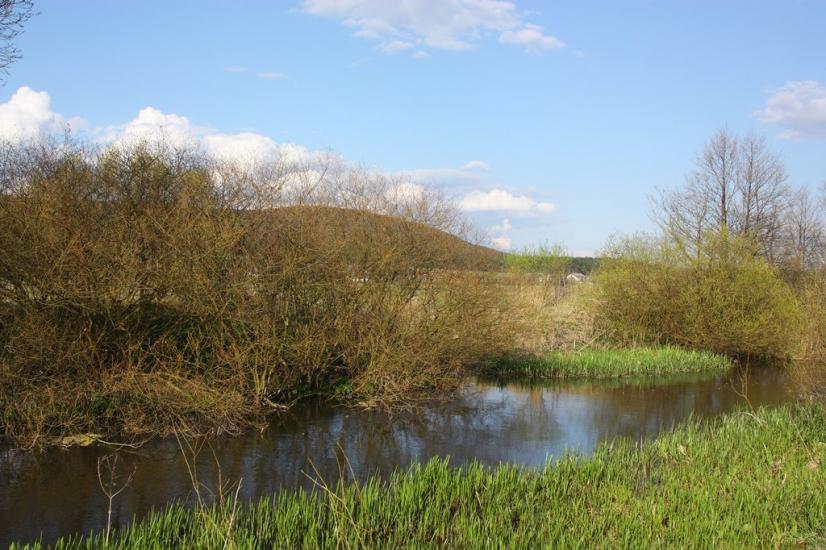 Черемошня з panoramio.com - Черемошня