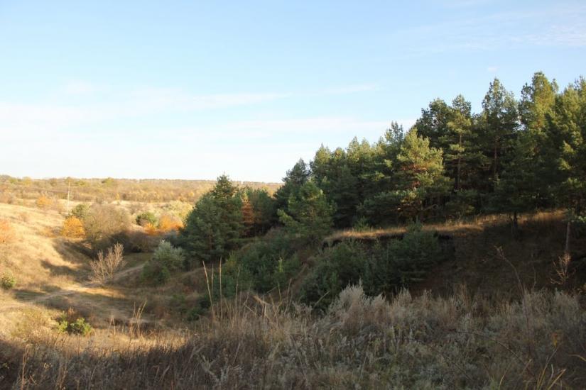 Клинці з panoramio.com - Клинці